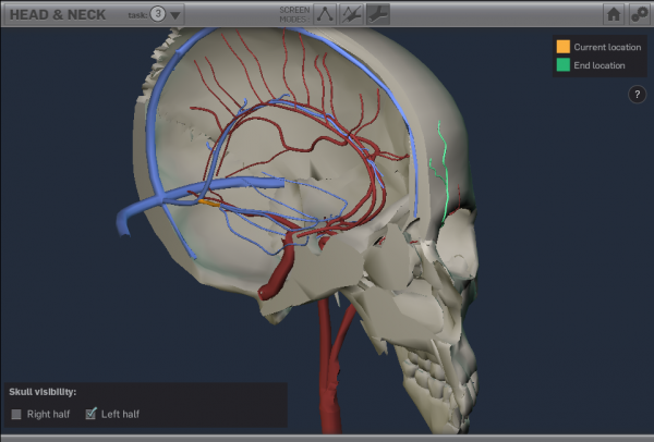Vascular Anatomy Study Aid screenshot: map mode where the user can explore a 3D model of vasculature
