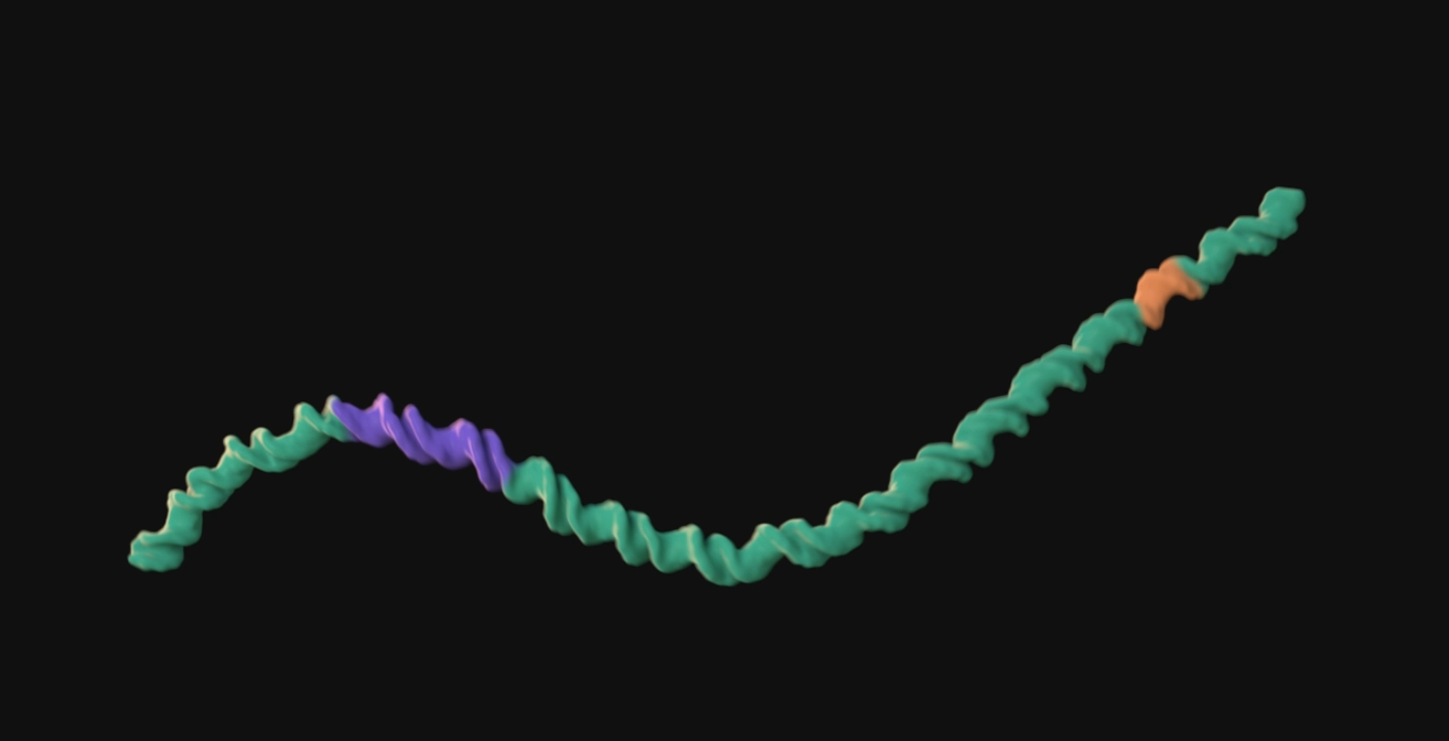 DNA green purple and orange with motion blur
