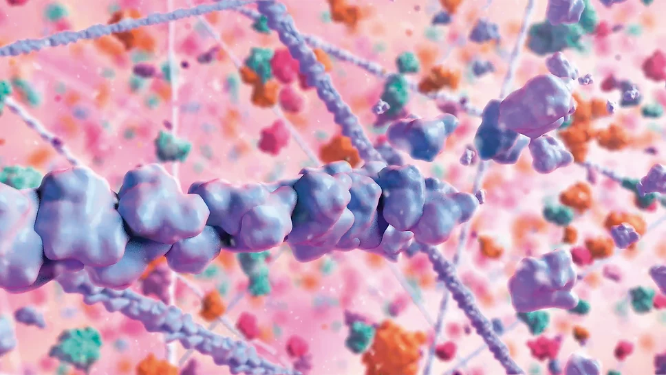 Visualizing Different Models for Protein Binding and Interactions Science Vis Lab